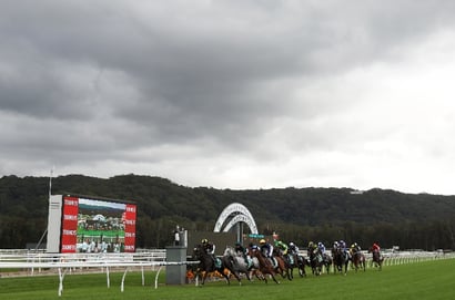 Gosford Horse Racing