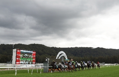 Gosford Horse Racing