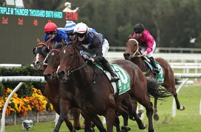Gosford Horse Racing