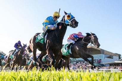 Gosford Racing Tips for August 6 - You're The Choice can salute, 2nd-up today