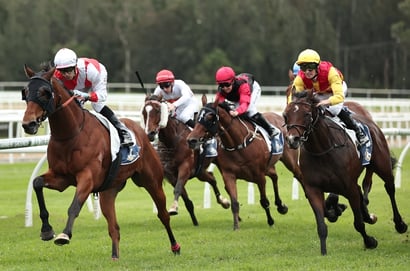 Gosford Horse Racing