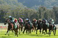Gosford Tips for 10.05.2025