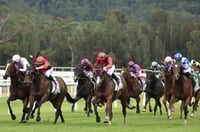 Gosford Tips for 10.07.2025
