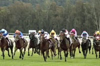 Gosford Tips for 12.06.2025