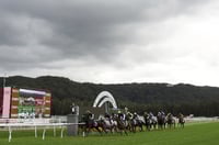 Gosford Tips for 19.06.2025