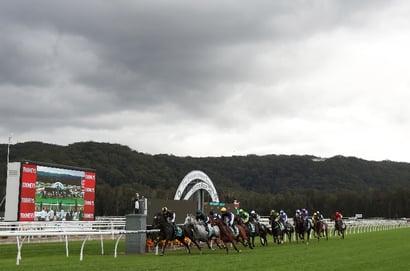Gosford Tips for 19.06.2025