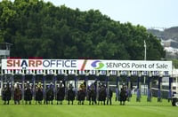 Gosford Tips for 27.03.2025