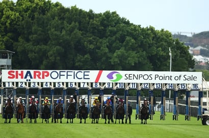 Gosford Tips for 27.03.2025