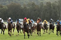 Gosford Tips for 29.05.2025