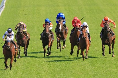 Gosford tips for 03.02.2026