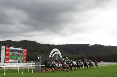 Gosford tips for 06.08.2026