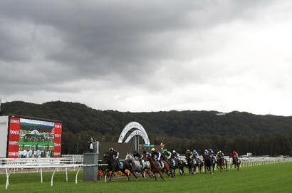 Gosford tips for 06.11.2025