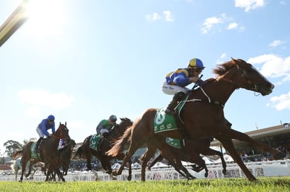 Gosford tips for 08.07.2026