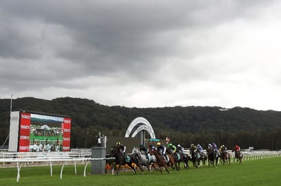 Gosford tips for 09.05.2026