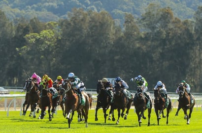 Gosford tips for 11.02.2026