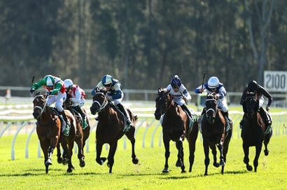 Gosford tips for 11.06.2026
