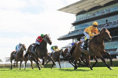 Gosford tips for Thursday, October 31