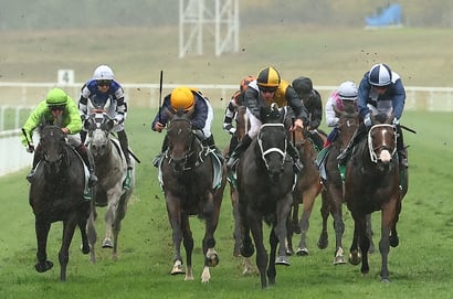 Goulburn Tips for 13.06.2025