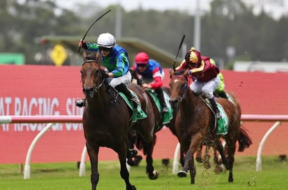 Grafton Tips for 04.02.2025