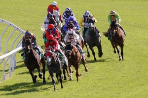 Grafton Tips for 09.05.2025