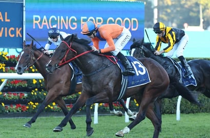 Grafton Tips for 13.07.2025