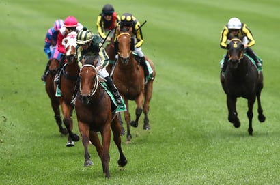 Grafton Tips for 16.07.2025