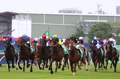 Grafton Tips for 17.07.2025