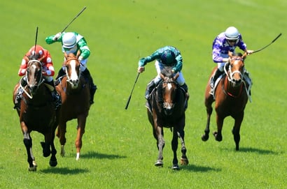 Grafton tips - 05/07