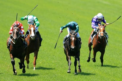 Grafton tips - 18/08