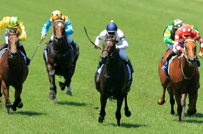 Grafton tips - 29/09