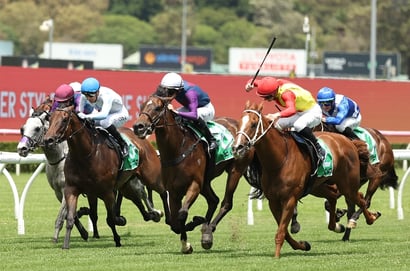 Grafton tips for 15.07.2026