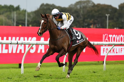 Grafton tips for 16.07.2026