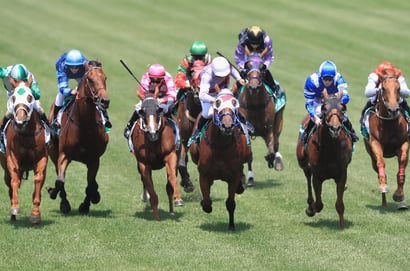 Grafton tips for 24.07.2026