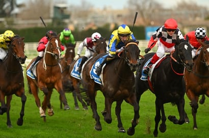 Greyville racing