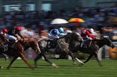 Greyville racing