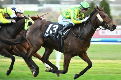 Greyville Horse Racing Tips - Get all the racing tips for Tuesday, 18 August