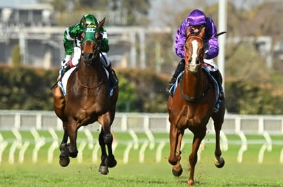Greyville racing