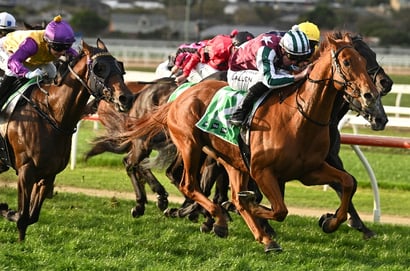 Greyville racing