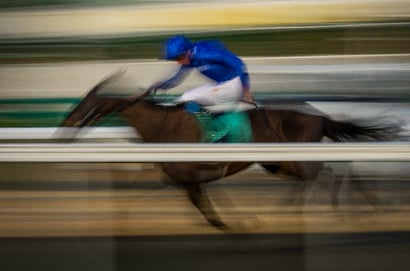 Greyville racing