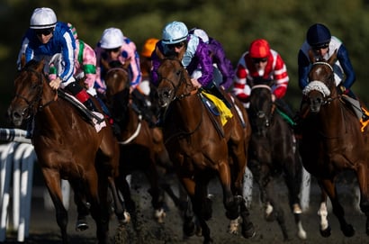 Greyville racing
