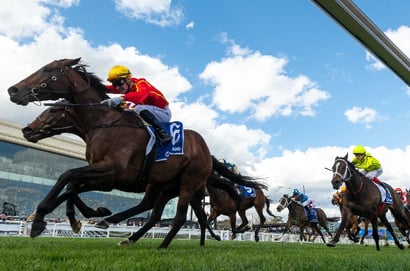 Guineas Day Fields