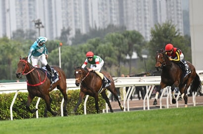 Hong Kong Cup 2025 Betting Tips - Will Romantic Warrior Extend His Cup Legacy?