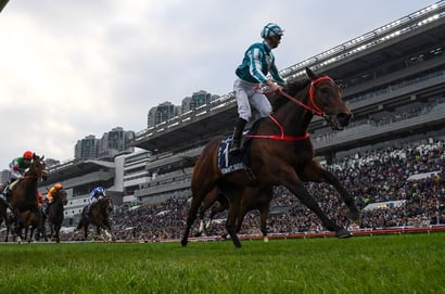 Hong Kong Cup 2025 Betting Odds - Romantic Warrior Dominates the Market