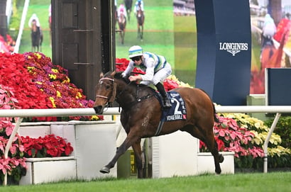 Hong Kong Mile 2025 Betting Tips - My Wish Emerging as a Serious Mile Contender