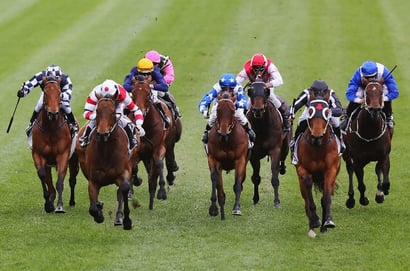 Hamilton Dabble - 26/05