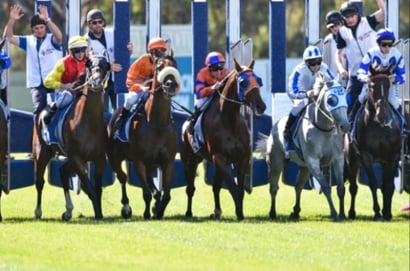 Hamilton Racing Tips for September 14 – Prince Of Byron to bounce back 