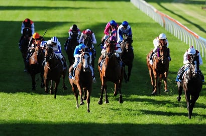 Hamilton tips - 26.05