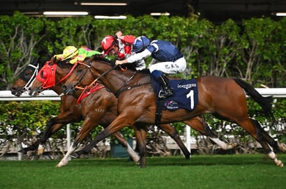 Happy Valley Horse Racing