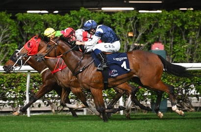Happy Valley Horse Racing