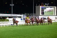 Happy Valley Tips for 09.07.2025